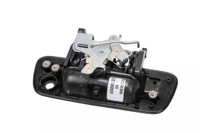 25801998 - Body: Handle for Chevrolet: Colorado | GMC: Canyon Image