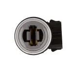 610041 - : Turn Signal Light Socket for ROSTRA Image