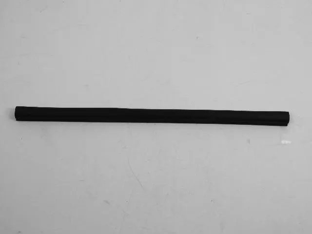 55255667AD - : B-pillar Seal for Mopar Image