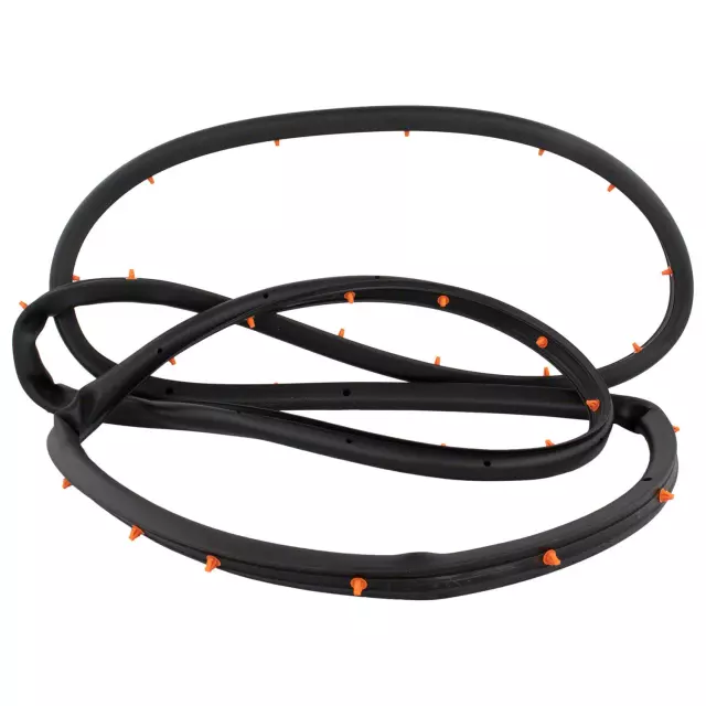 FT4Z5820531A - Body: Door Weather-strip for Ford: Edge Image