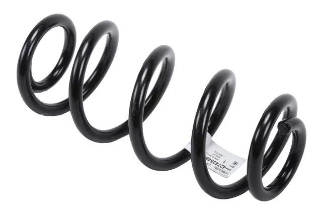 Rear Coil Spring - GM (42743546)