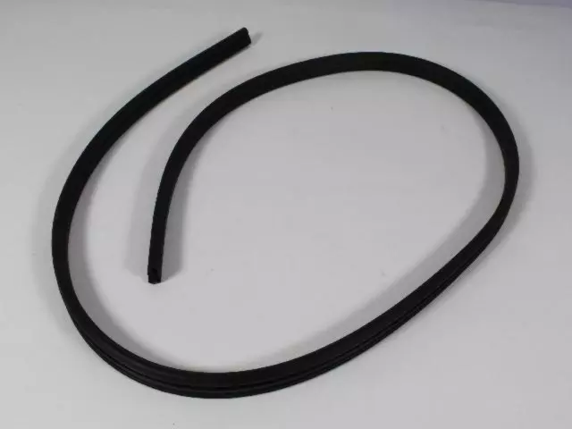 Lift-Gate Glass Weatherstrip - Mopar (55394780AK)