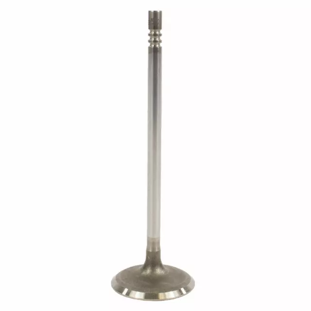 JL3Z6507A - : Intake Valve for Ford: F-150, Mustang Image