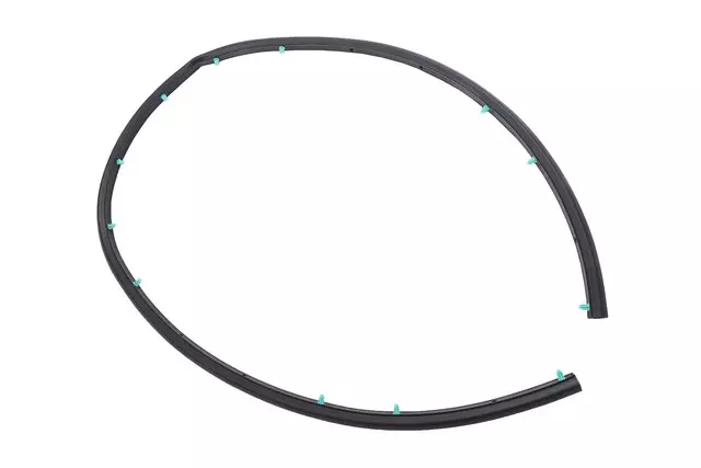Hood Front Weatherstrip - GM (26233816)