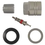 20019 - : TPMS Service Kit 20019 (Clamp-in Components) for Schrader TPMS Solutions Image