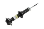 85669632 - Suspension: Shock Absorber for GM Image