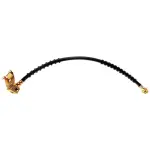 19169872 - : Hose for GM Image