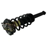 853224 - : INFINITI, Nissan Suspension Strut and Coil Spring Assembly  - Rear for GSP Image