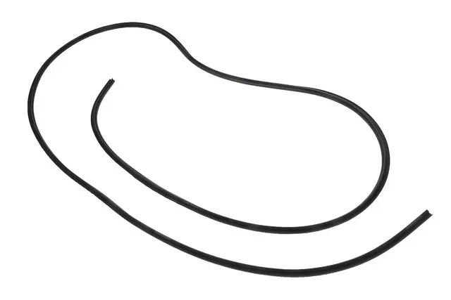 Sunroof Window Seal - GM (13232866)