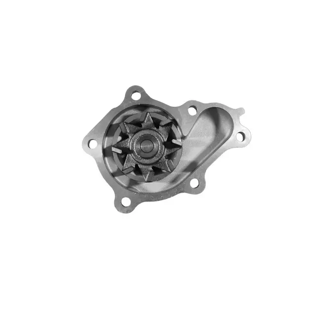 Pump Kit, Wat - GM (12493878)