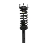 818945 - : PRT 818945 Suspension Strut and Coil Spring Assembly for PRT PERFORMANCE RIDE Image