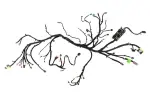 42892169 - : F Harness for GM Image