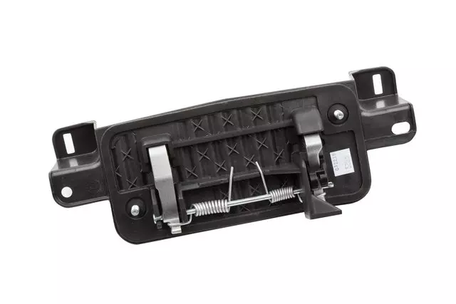 15898427 - Body: Handle for Cadillac: SRX Image