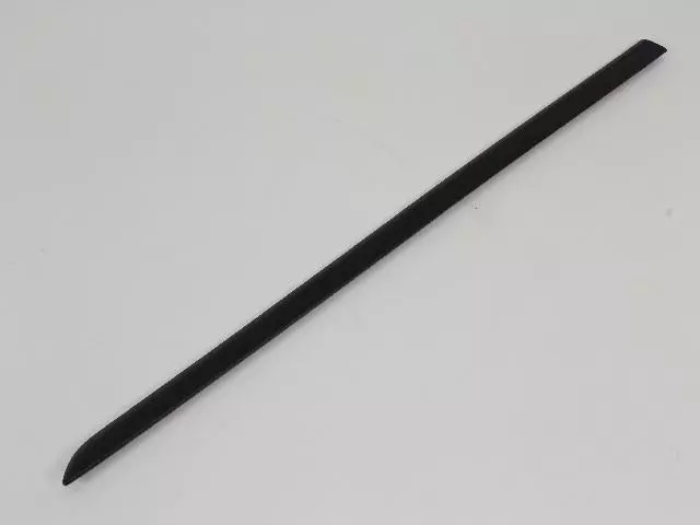 Molding - Mopar (1EX41TZZAB)