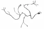 85594793 - : F Harness for GM Image
