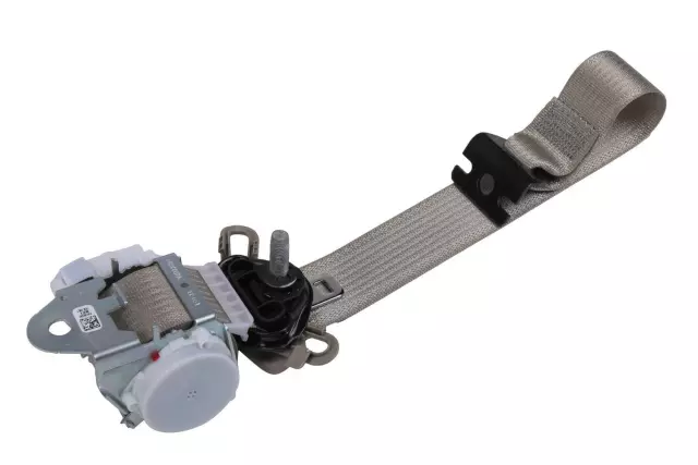 19303065 - Electrical: Outer Belt Assembly for Cadillac: Escalade ESV | Chevrolet: Suburban, Suburban 3500 HD | GMC: Yukon XL Image