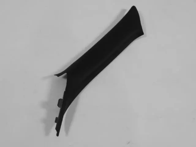 Windshield Molding, Left - Mopar (1FW53XDVAG)