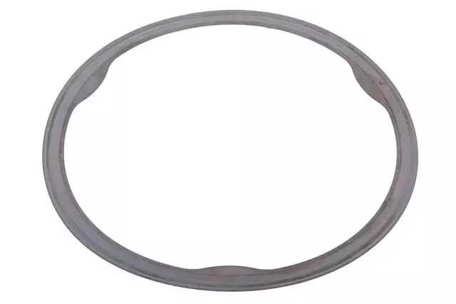12690743 - : Catalytic Converter Gasket for Cadillac: CT6 Image