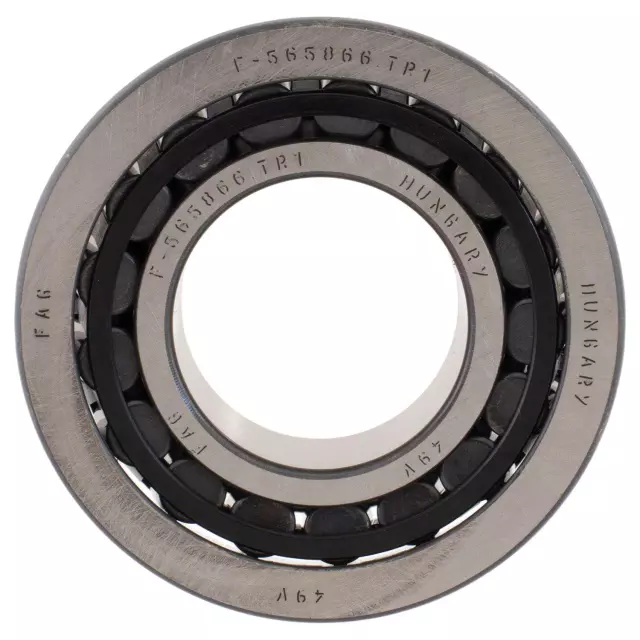 CV6Z7025A - : Manual Transmission Input Shaft Bearing for Ford: Contour, Focus | Mercury: Cougar, Mystique Image