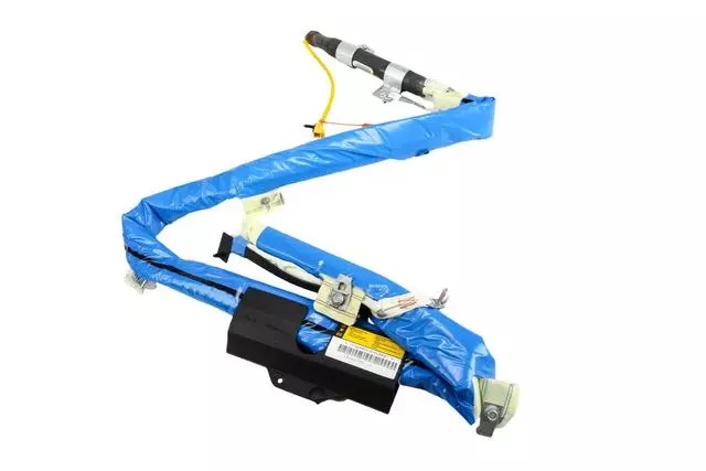 Curtain Air Bag - GM (20929800)