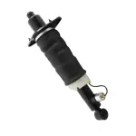 18529902 - : Unity Automotive Air Suspension Strut for Unity Automotive Image