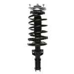 818879 - : PRT 818879 Suspension Strut and Coil Spring Assembly for PRT PERFORMANCE RIDE Image