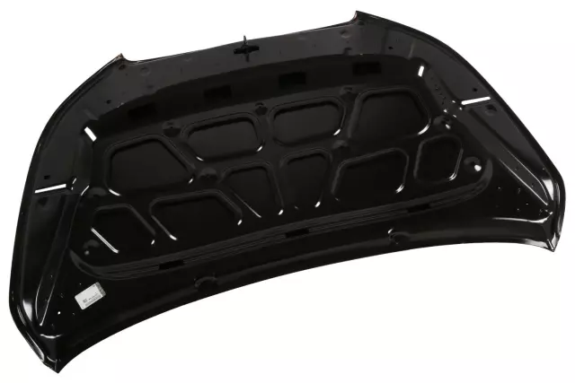 Hood - GM (20794194)