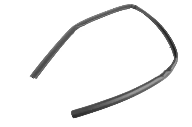 23138223 - Body: Weatherstrip for GM Image