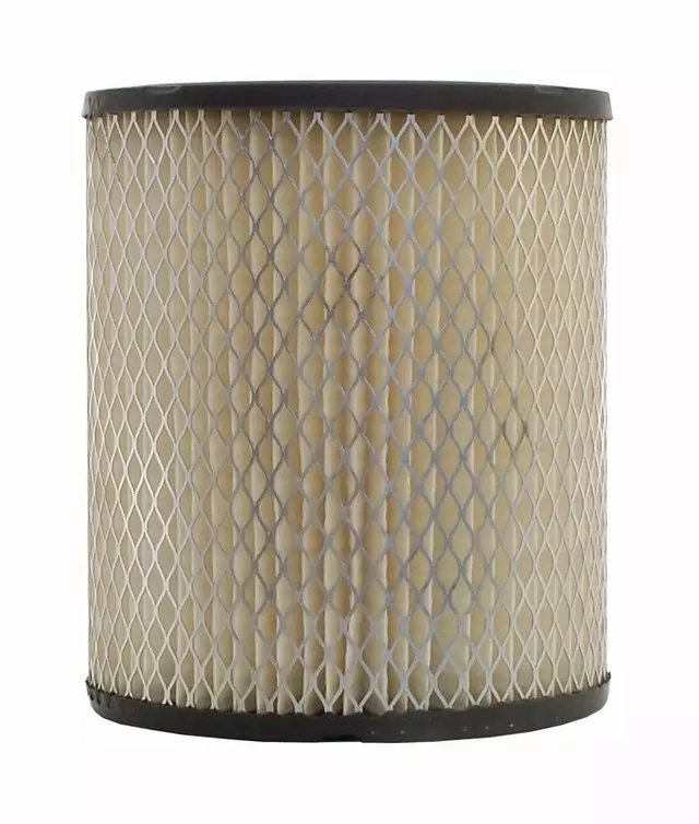 25043002 - Maintenance &amp; Lubrication: Air Filter for GM Image