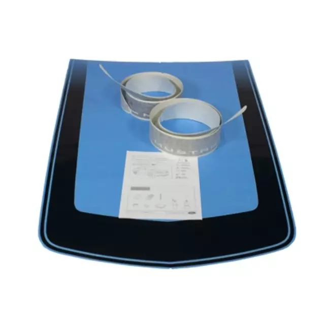 Black, Body Side & Hood, W/O Hood Scoop - Ford (AR3Z6320000GF)