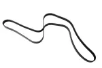 88984194 - Cooling System: Belt for GM Image