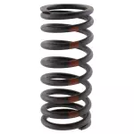 CA6Z6513A - Engine: Valve Springs for Ford: EcoSport, Fiesta, Focus Image