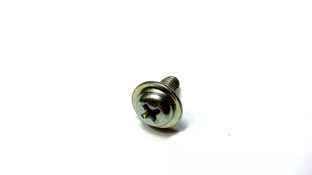 904710006 - Body: Cover Screw for Subaru: Forester, Legacy, Outback Image