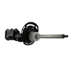 ASH866095 - : Motorcraft™ Strut for Ford: Escape Image