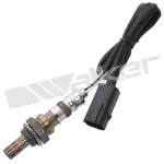 25024384 - : Walker Products 250-24384 Oxygen Sensor 4-W Direct Fit Narrow-Band for Walker Products Inc. - Image