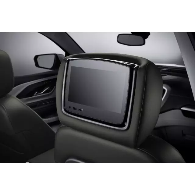 Headrest and Video Screen Assembly - GM (84576971)
