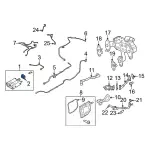 LX6Z9D289SH - : Tube Assembly for Ford: Bronco Sport, Escape | Lincoln: Corsair Image