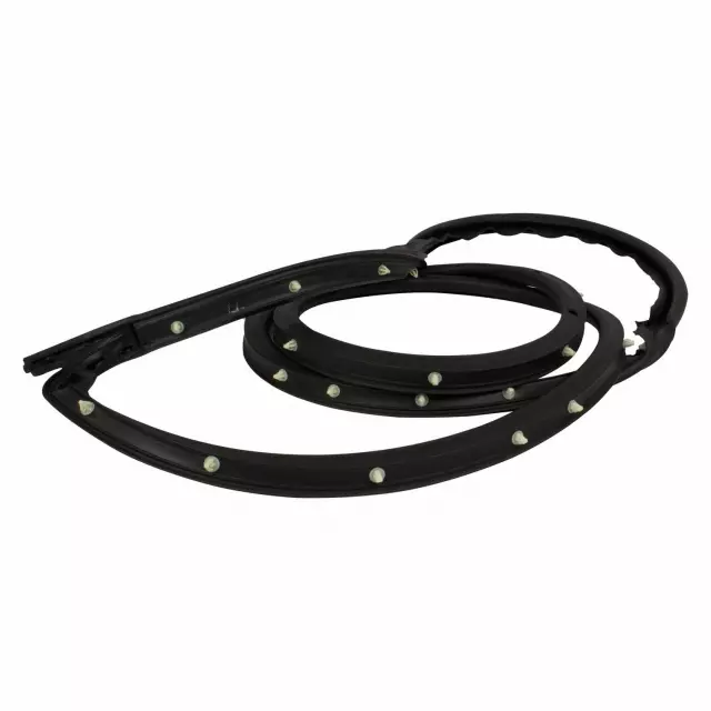 Door Weather-Strip - Ford (DN1Z-7420530-D)