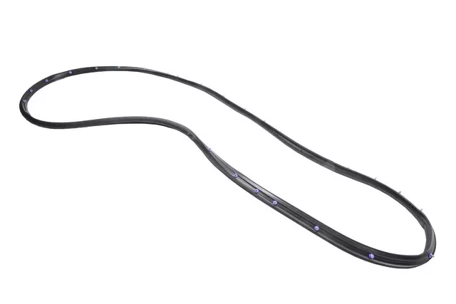 Door Weather-Strip - GM (22973973)