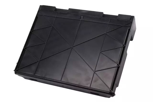 Body Control Module - GM (13528116)