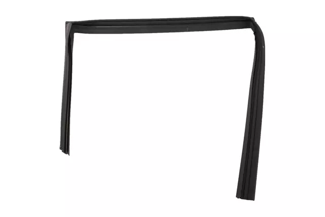 Side Door Window Weatherstrip - GM (92256497)