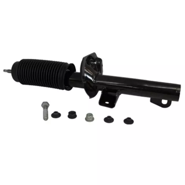 Shock Absorber Assembly - Ford (AST-49)