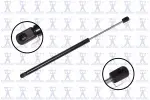 84762 - : Back Glass Lift Support for Focus Auto Parts Image