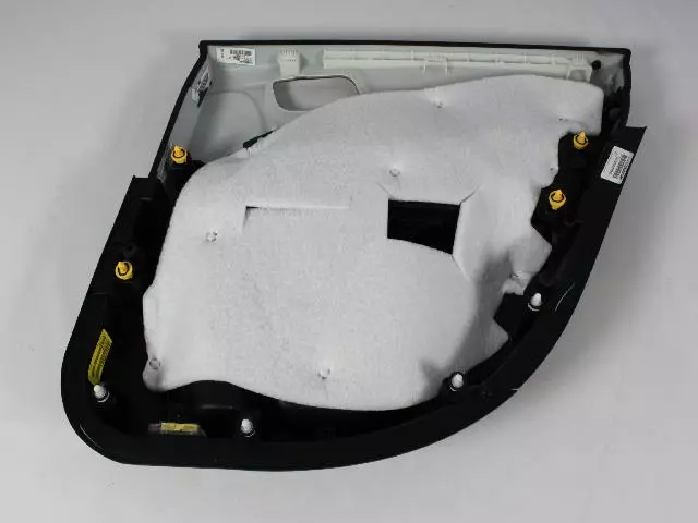 Rear Door Panel, Left - Mopar (1TQ41DX9AK)
