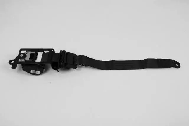 TS771D1AE - Interior Trim: Rear Seat Belt, Left for Mopar Image image