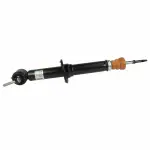 ASH24743 - : Suspension Shock Absorber  for Ford: F-150 Image