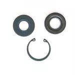 8520 - : STG. GEAR INPUT SHAFT SEAL KIT for Edelmann Image