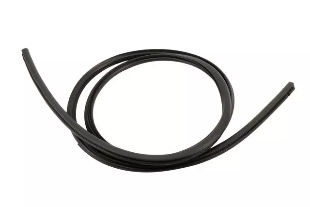 Sunroof Window Seal - GM (20913285)