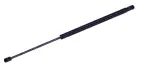 610760 - : Trunk Lid Lift Support for Tuff Support Image