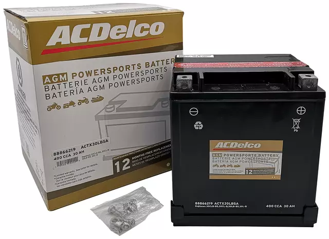 Vehicle Battery - ACDelco (ACTX30LBSA)